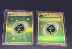 基本草エネルギUR×2のサムネイル