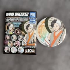WIND BREAKER サイバーチャイナ 缶バッジ 桜遥 B