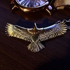 鷲見太郎 小イーグルのサムネイル