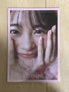 林芽亜里anniversary calendar photobookフォトブックのサムネイル