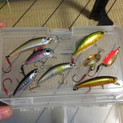 範子様専用のサムネイル