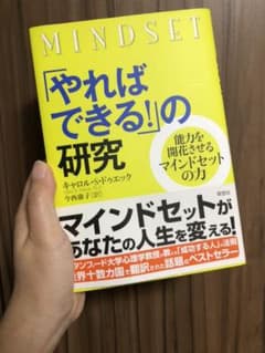 「やればできる!」の研究 : 能力を開花させるマインドセットの力のサムネイル