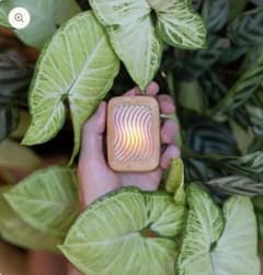PlantWave 植物音楽再生デバイス PlantWave 植物音楽再生デバイス - メルカリ