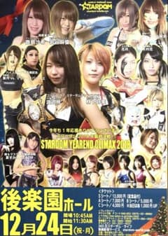 貴重品✨ スターダム 2018年12月 ポスター 女子プロレス STARDOM