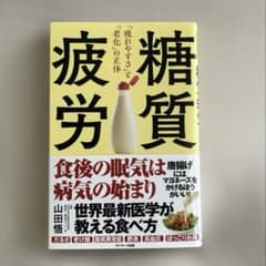 糖質疲労　山田悟　サンマーク出版　単行本のサムネイル