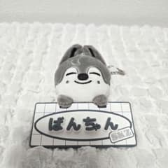 Stray Kids ネームバッグチャーム ウルフチャン - メルカリ