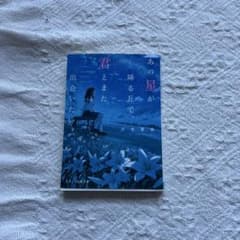 あの星が降る丘で、君とまた出会いたい。 汐見夏衛 スターツ出版文庫のサムネイル