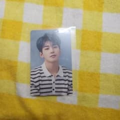 SEVENTEEN 舞い落ちる花びら ウォヌ HMV トレカ - メルカリ