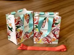 Tiffany & Co. ギフト袋 2個セットのサムネイル