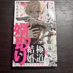 仁義なき婿取り 1のサムネイル