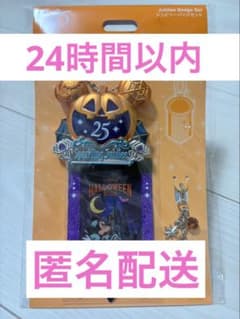 ジュビリーバッジセット　ハロウィン　ディズニーのサムネイル