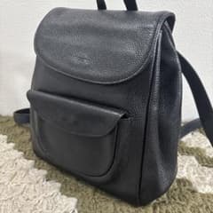 Ungaro genuine leather backpack, mini backpack, made in Japan.