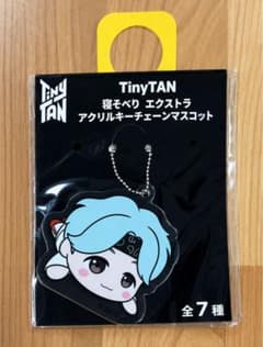 TinyTAN 잠자는 아크릴 키 체인 마스코트