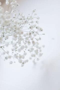 パヨチン様専用ページのサムネイル