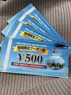 地域限定クーポン　天橋立のサムネイル