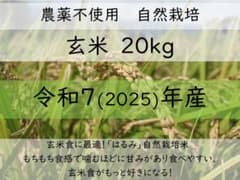 20kg 玄米食に最適「はるみ」自然栽培米 農薬不使用 玄米 - メルカリ