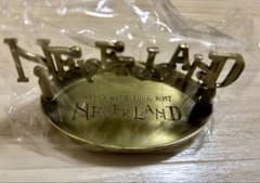 NEWS LIVETOUR 2017 NEVERLAND 鍵置本体+外箱　未使用のサムネイル