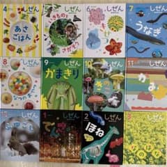 ほぼ未使用✨フレーベル館 しぜんキンダーブック 12冊セット - メルカリ