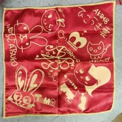 AKB48 くるくるスカーフ 公式グッズのサムネイル