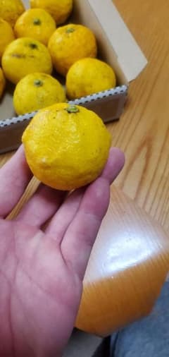 柚子無農薬のサムネイル