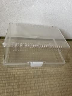 スドー　レプティギア365のサムネイル
