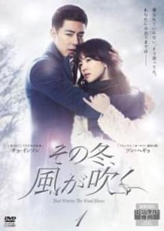 韓国ドラマ その冬、風が吹くDVD 全8巻セット - メルカリ