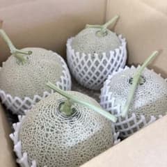 セール！甘さ抜群！復興メロン 熊本県産 マスクメロン 4玉 糖度14度