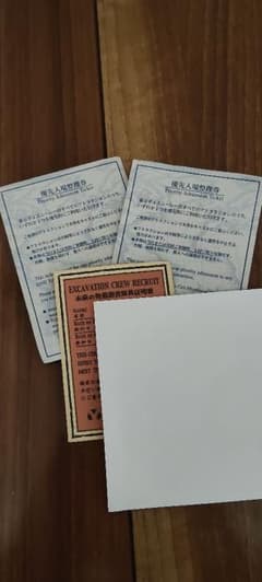 東京ディズニーシー 優先入場整理券2枚と　　レイジングスピリッツ1枚　計3枚のサムネイル