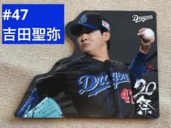 吉田聖弥 中日ドラゴンズ D26 20祭シークレットダイカットマグネット