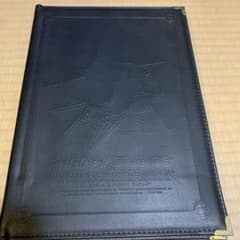 日本生命NISSAYニッセイ スヌーピー ファイル 保険証書バインダー USJのサムネイル