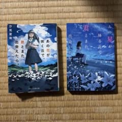 あの花が咲く丘で、君とまた出会えたら。 あの星が降る丘で、君とまた出会いたい。のサムネイル