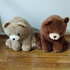ひぐまのノンノのサムネイル