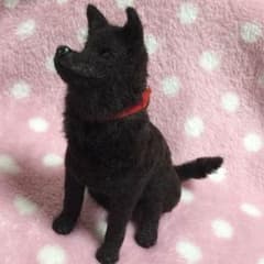 ♡専用♡のサムネイル