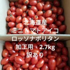 北海道産 ミニトマト アイコ ロッソナポリタン 加工用 2.7kg 訳あり