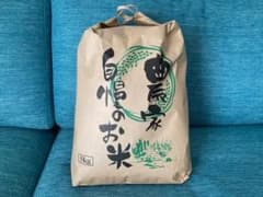 令和８年産　新米　高知県産コシヒカリ　精米10kg（5kg×2袋）農家直送のサムネイル