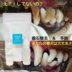 【犬猫　歯石除去歯磨き】スターターキットのサムネイル