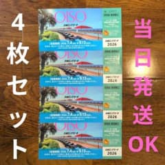 大磯ロングビーチ 入場チケット 4枚 特別前売入場引換券のサムネイル