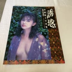 斉藤慶子写真集のサムネイル