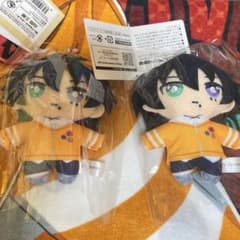 m98570533935_1.jpg?1715473151