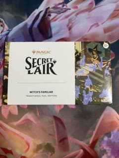 MTG Secret Lair WITCH'S FAMILIAR foilのサムネイル
