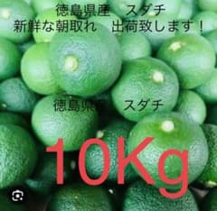 スダチ10キロのサムネイル