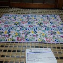 かんぽ生命×FEIＬER  　オリジナルブランケットのサムネイル