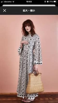 ロンハーマン かごバック　LOOKBOOK掲載のサムネイル