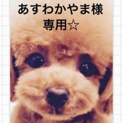 あすわかやま様専用☆のサムネイル