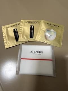 資生堂　フューチャーソリューション