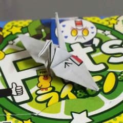 すうりょー様専用のサムネイル