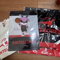 ANTELOPES 応援グッズ　3点セットのサムネイル