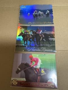 ナリタブライアン特製カード(キャンペーン当選品) ナリタブライアン 競馬 THE VICTORY 1999 トレーディングカード - メルカリ