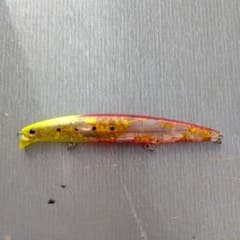 ダイワ　ショアラインシャイナーzバーティスFのサムネイル