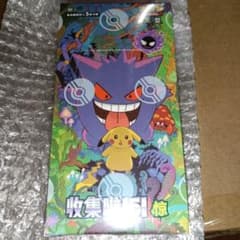 ポケモンカードゲーム 拡張パック「收集啦151 惊」【海外・中国限定】10BOX ポケモンカードゲーム 拡張パック「收集啦151 惊」【海外・中国限定